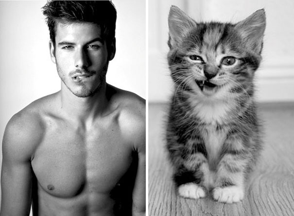 funny pictures male models and cat lookalikes 04