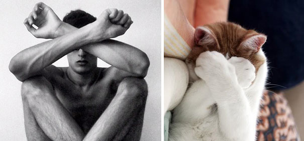 funny pictures male models and cat lookalikes 05