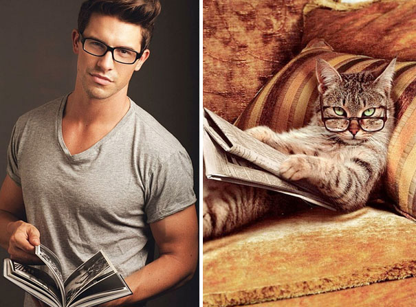 funny pictures male models and cat lookalikes 06