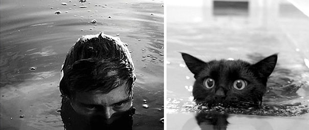funny pictures male models and cat lookalikes 10