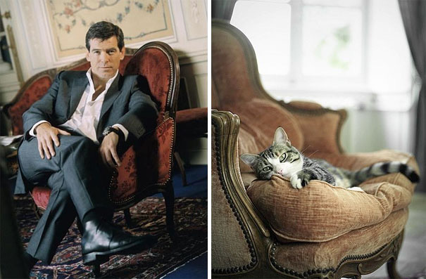 funny pictures male models and cat lookalikes 12