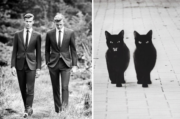 funny pictures male models and cat lookalikes 13