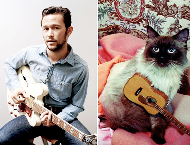 funny pictures male models and cat lookalikes 15