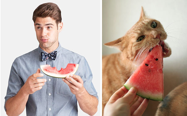 funny pictures male models and cat lookalikes 16