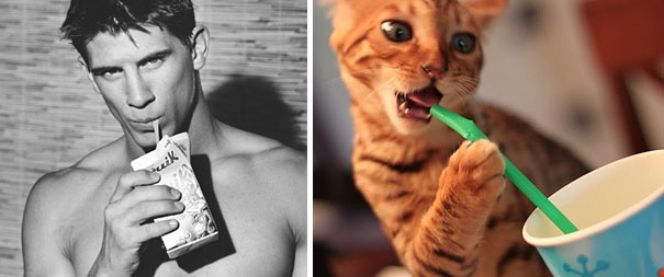 funny pictures male models and cat lookalikes 17