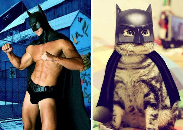 funny pictures male models and cat lookalikes 18