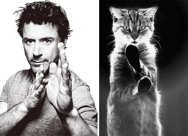 funny pictures male models and cat lookalikes 19