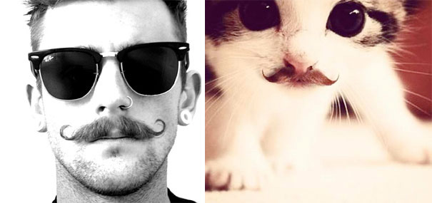 funny pictures male models and cat lookalikes 20