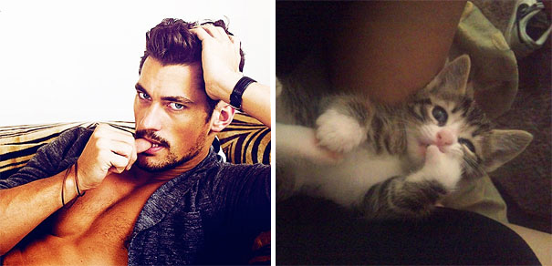 funny pictures male models and cat lookalikes 21