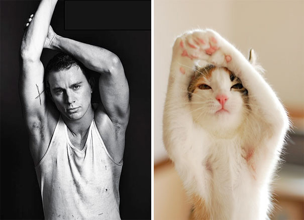 funny pictures male models and cat lookalikes 22