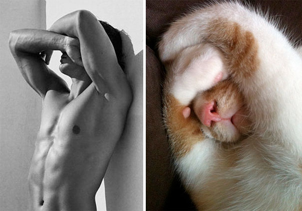 funny pictures male models and cat lookalikes 23