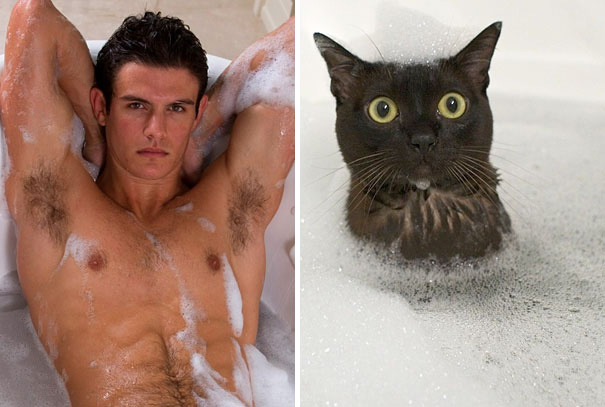 funny pictures male models and cat lookalikes 24
