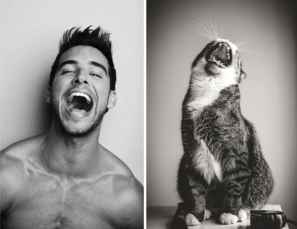 funny pictures male models and cat lookalikes 26