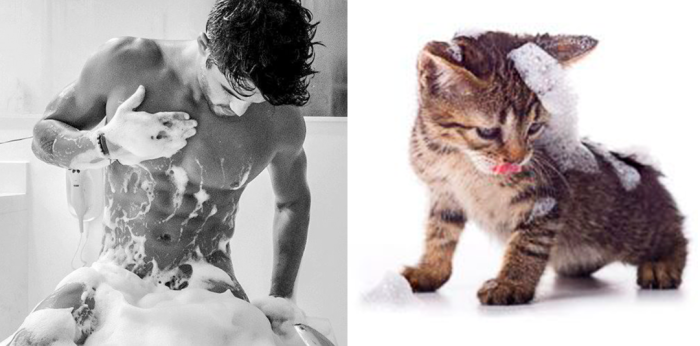 funny pictures male models and cat lookalikes 28