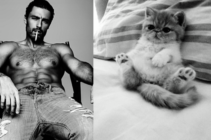 funny pictures male models and cat lookalikes 29
