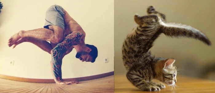 funny pictures male models and cat lookalikes 30