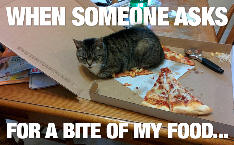 Angry and suspicious cat lying on a slice of pizza - When someone asks for a bite of my food