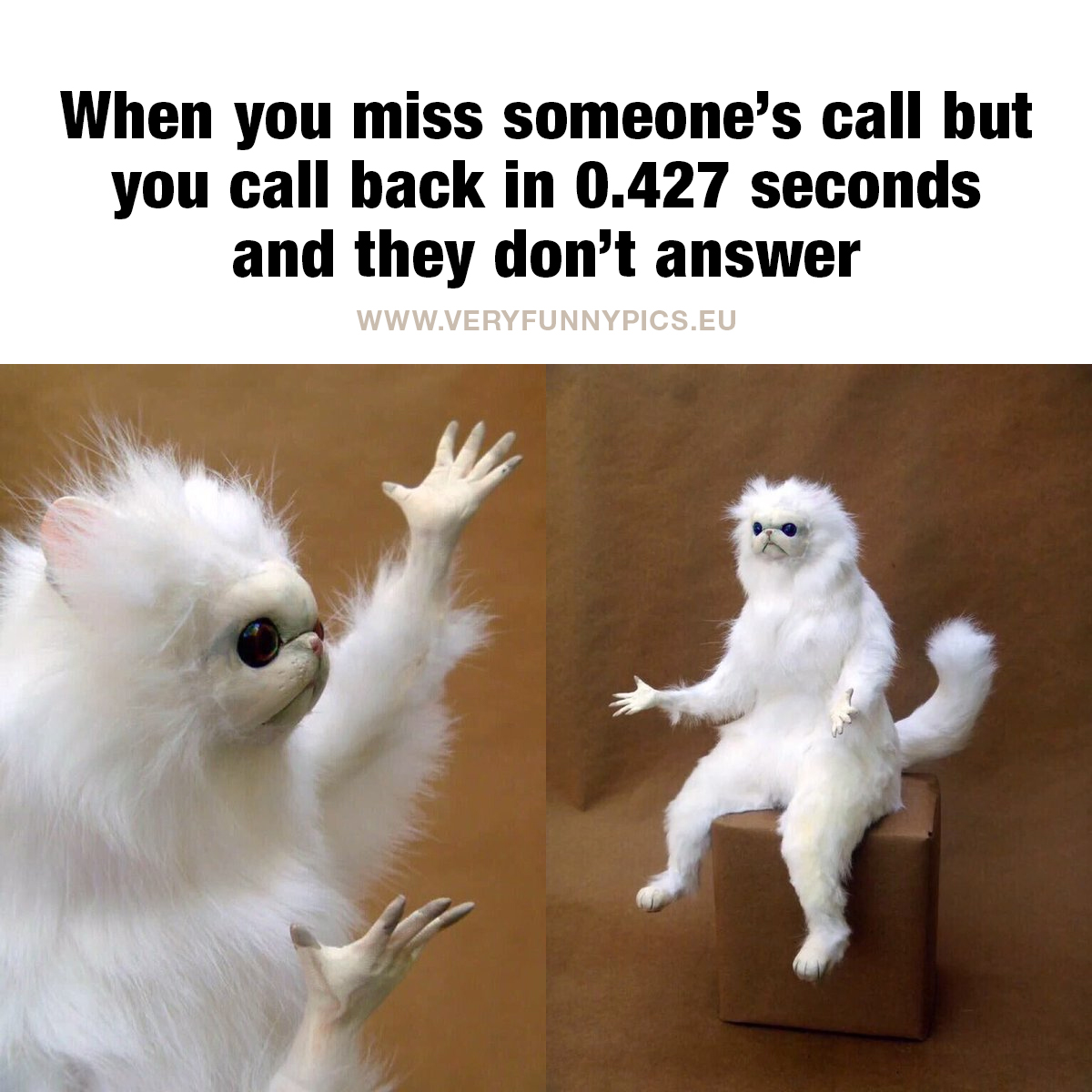 Frustrated animal - When you miss someone’s call but you call back in 0.427 seconds and they don’t answer