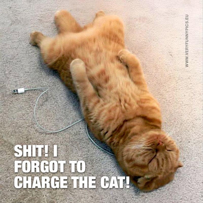 Cat lying on charghing cable - Shit! I forgot to charge the cat!