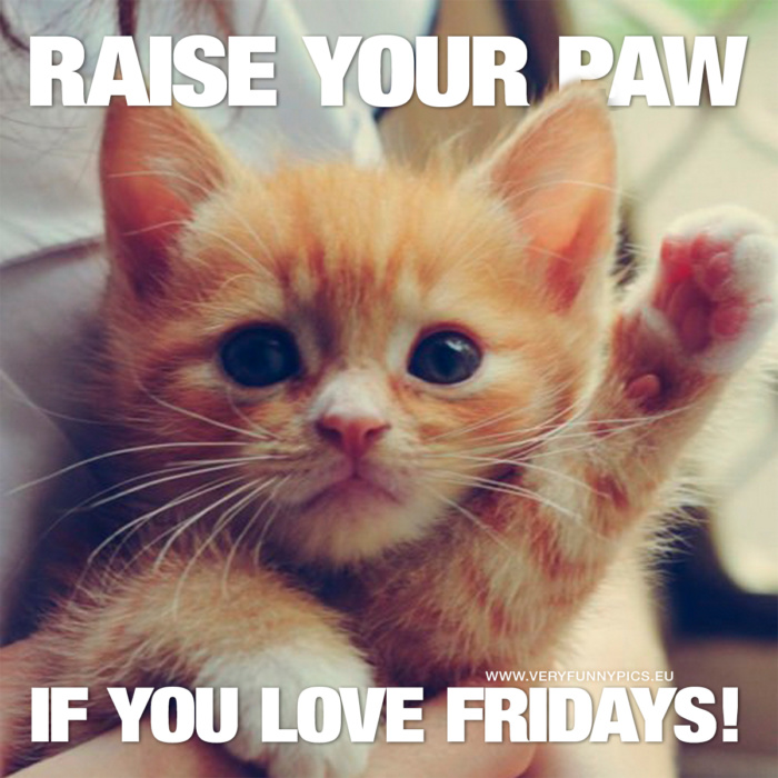 funny-pictures-raise-your-paw-if-you-love-fridays-700x700.jpg