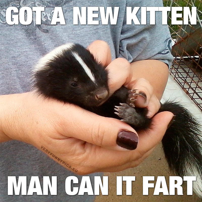 Woman holding skunk baby in her hands - Got a new kitten, man can it fart!