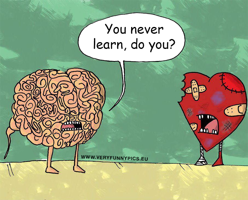 Cartoon of brain talking to a trashed heart - You never learn, do you?