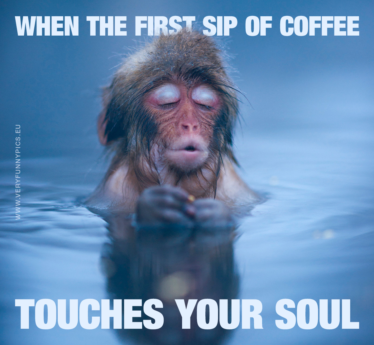 Monkey in water - When the first sip of coffee touches your soul