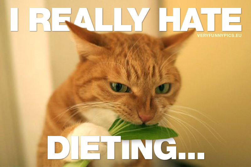 Cat eating salad - I really hate dieting