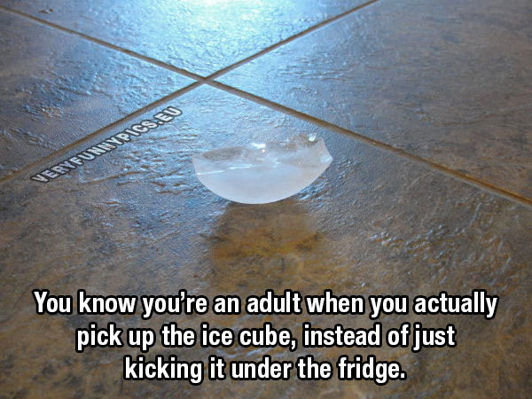 Ice cube on floor - You know you're an adult when you actually pick up the ice cube