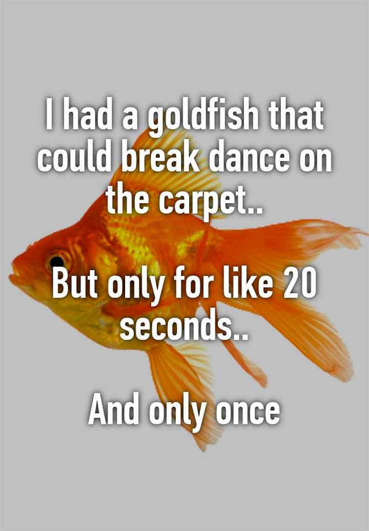 Quote about breakdancing goldfish