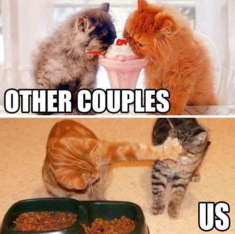 Cats eating food - Other people VS Us