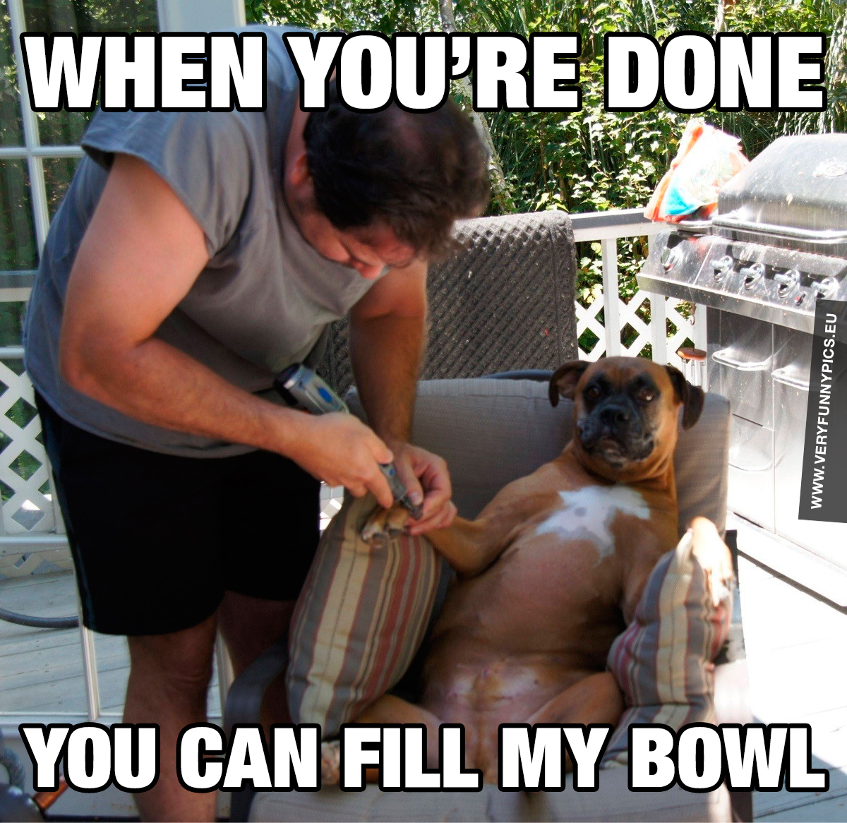 Dog gets manicure - When you're done you can fill my bowl
