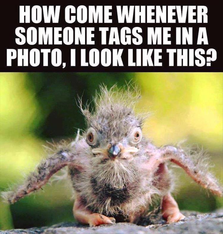 New born bird - Whenever someone tags me in a photo