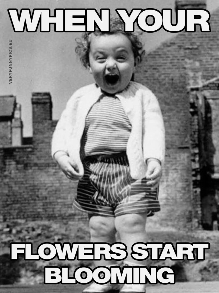 https://veryfunnypics.eu/wp-content/uploads/2019/04/funny-pictures-when-your-flowers-start-blooming-700x935.jpg