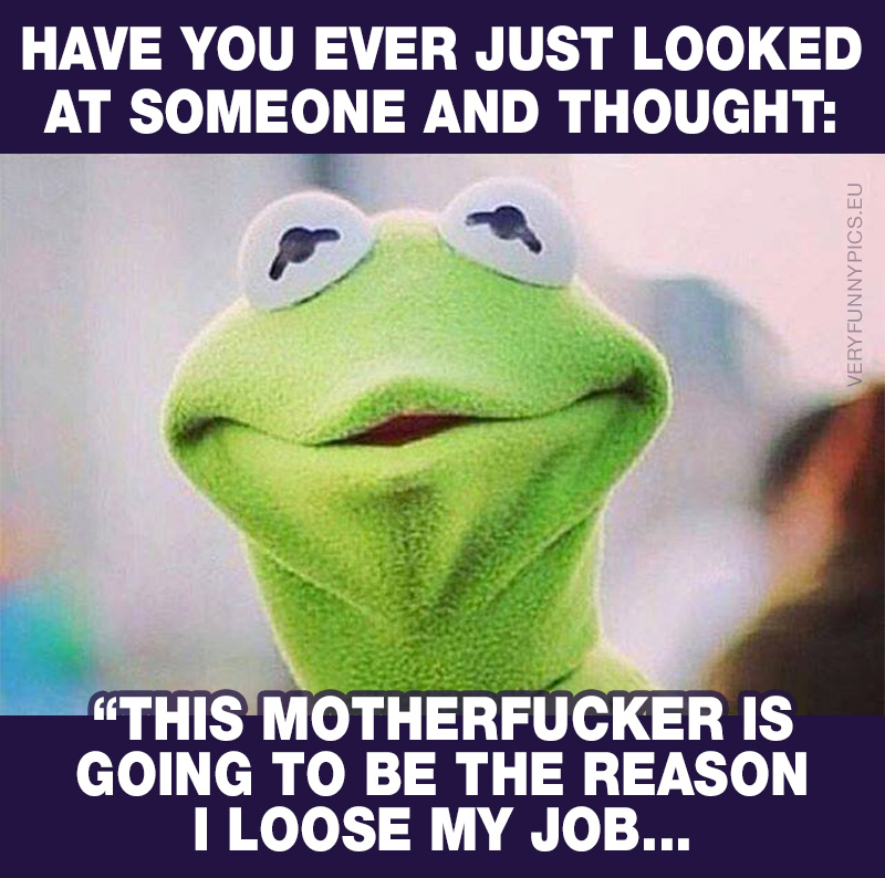 Funny quote from Kermit the frog