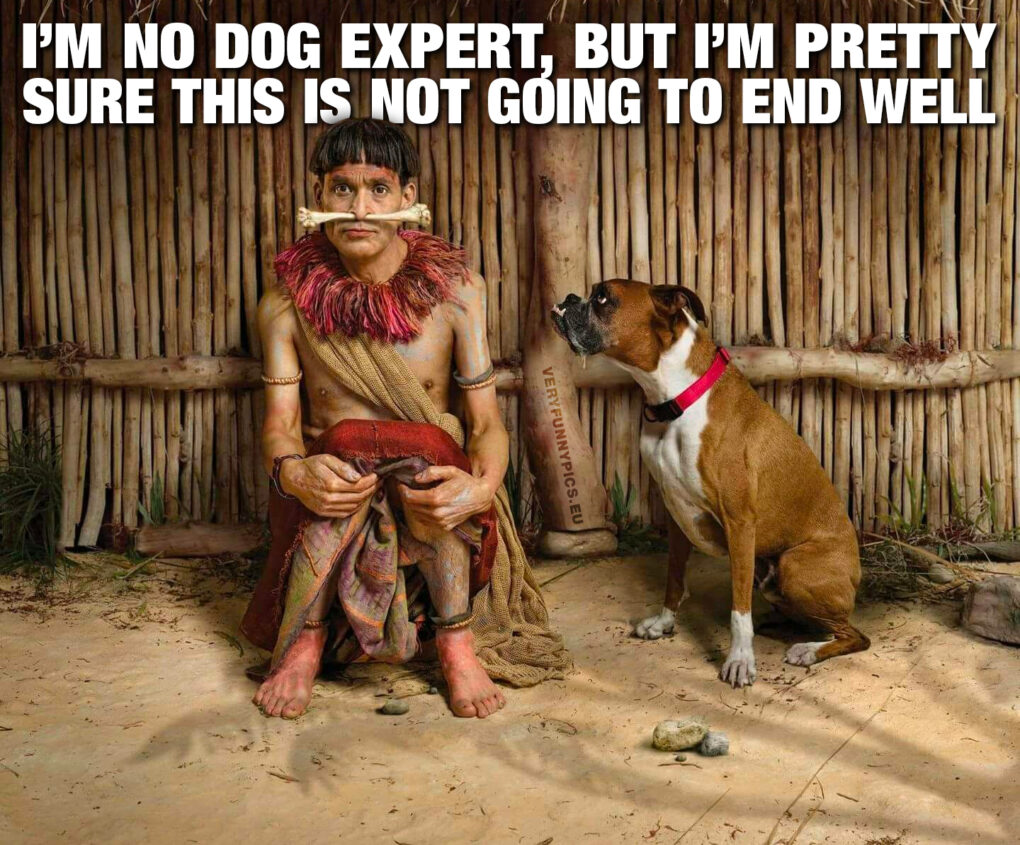 [Image: funny-pictures-im-no-dog-expert-1020x845.jpg]