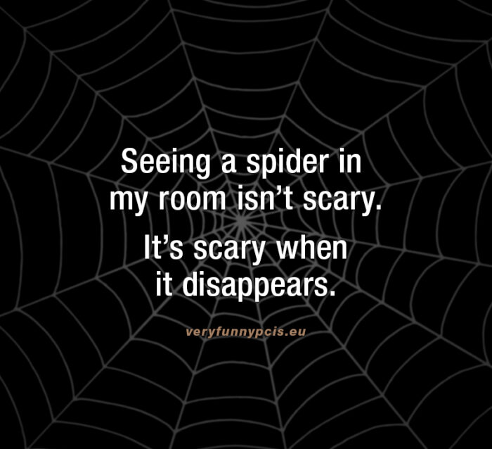 The scary thing about spiders