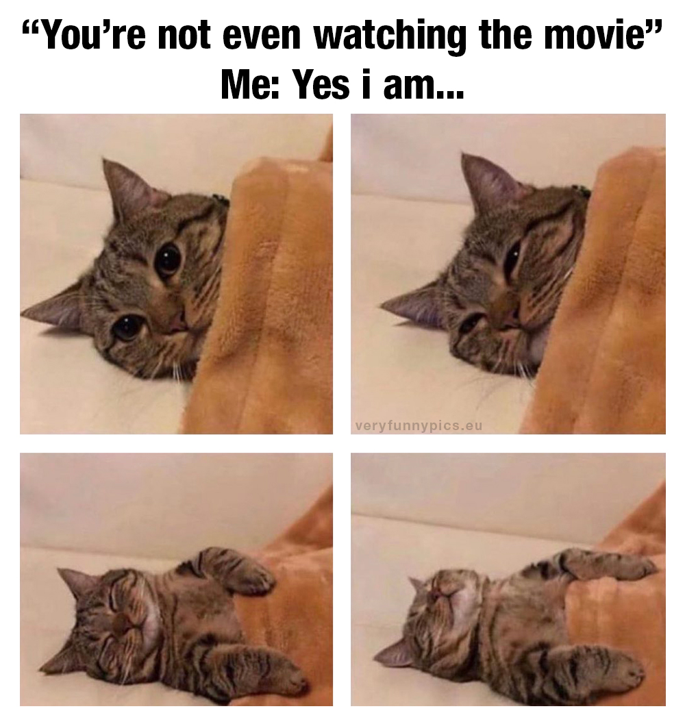 Sleepy cat trying to watch a movie