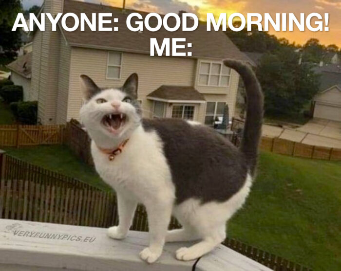 Not everyone is a morning person